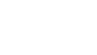 bv3